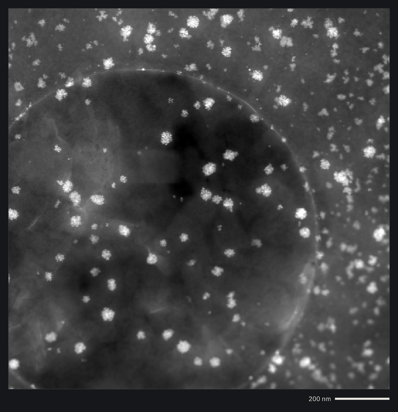 Nanoparticles in STEM