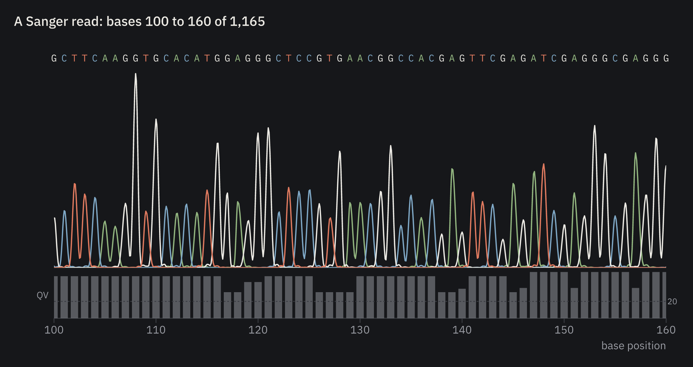 A Sanger read with its base calls