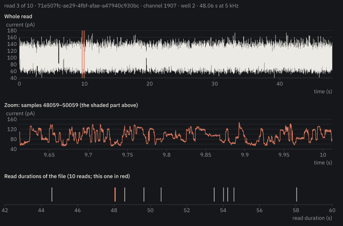 A nanopore read, raw