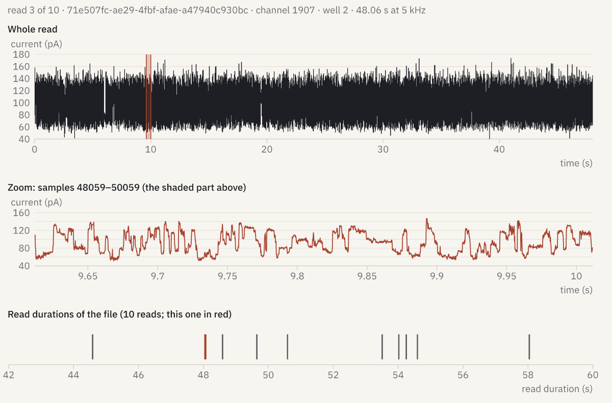 A nanopore read’s raw signal