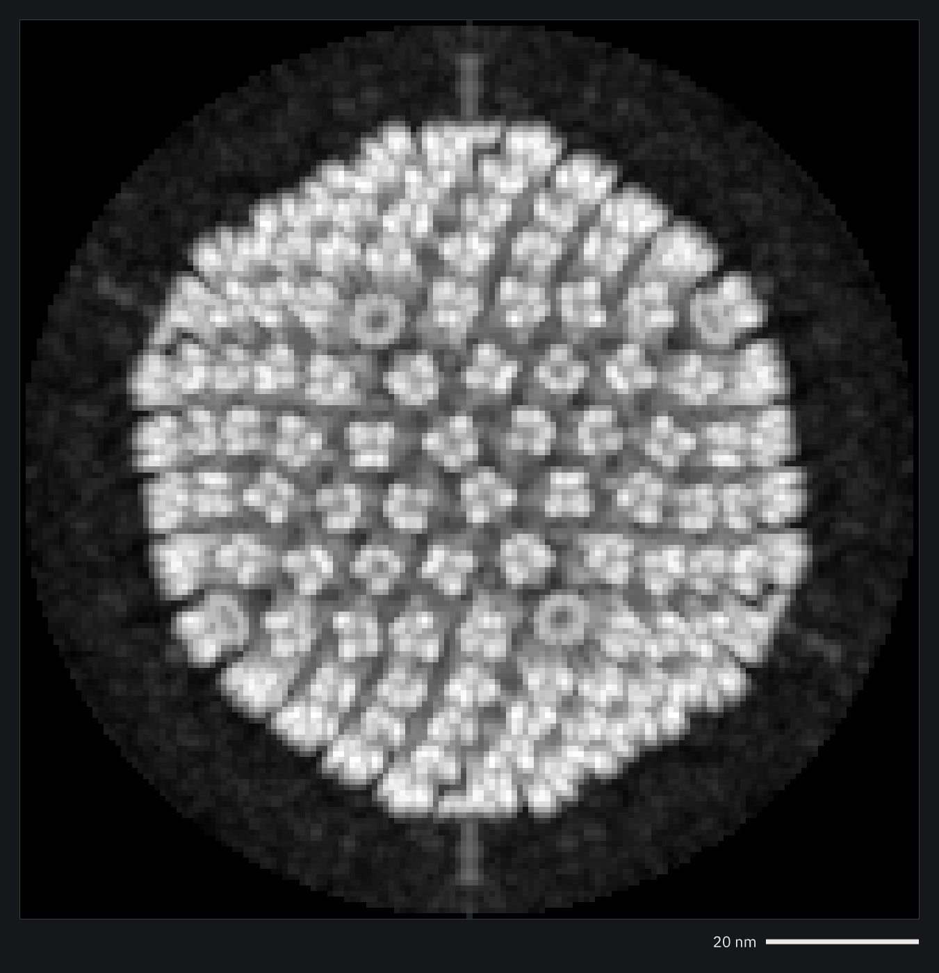 A virus capsid from a density map